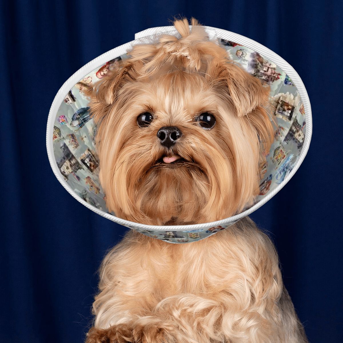 20 Misc Designs, Pet Elizabethan, Pet Medical Collar