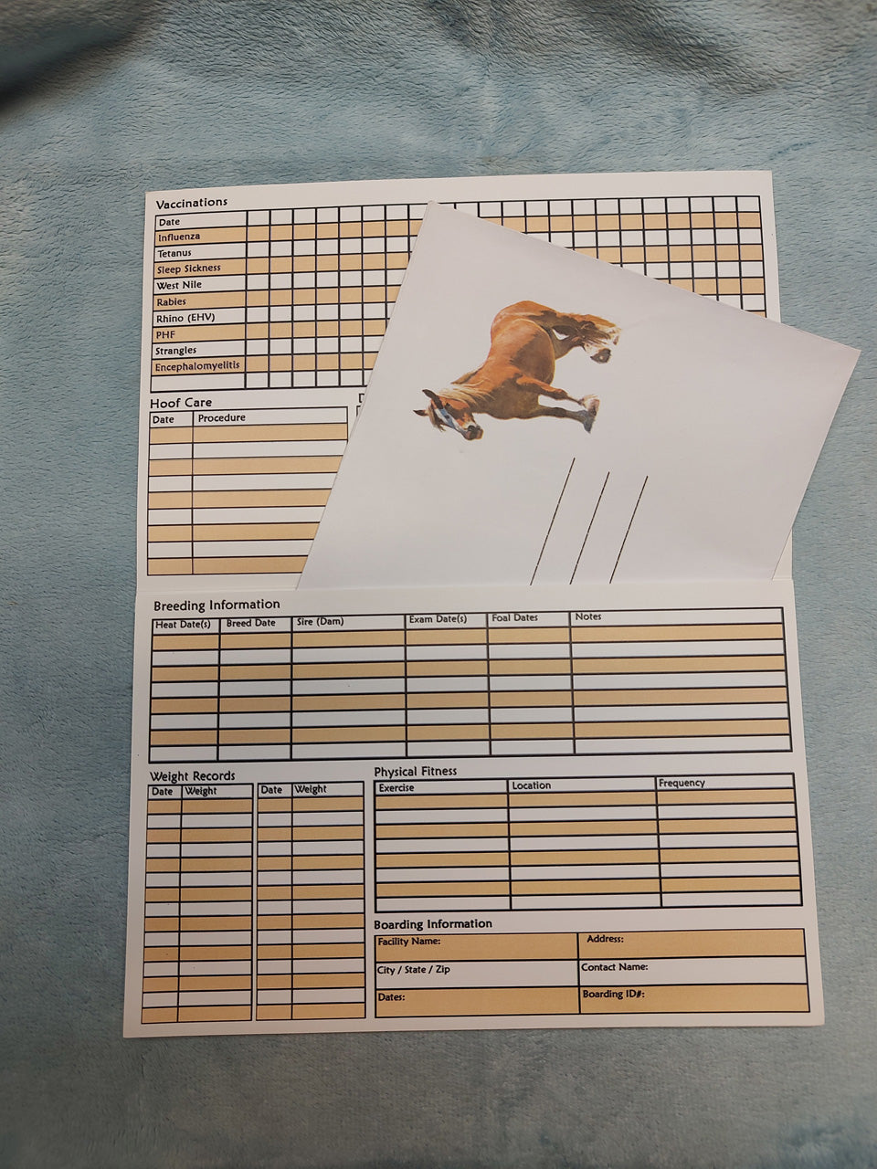 Equestrian Complete Medical Records + EID Sheet & Inside Pocket
