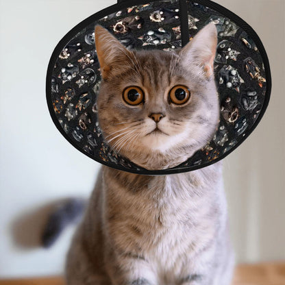 Pet Elizabethan, Pet Medical Collar