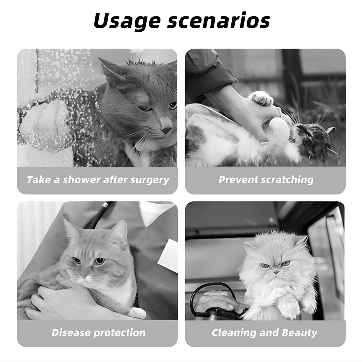 20 Misc Designs, Pet Elizabethan, Pet Medical Collar