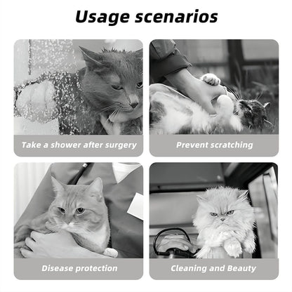 Spider Webs, Pet Elizabethan, Pet Medical Collar