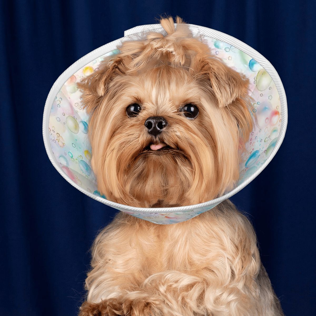 Bubble Design, Pet Elizabethan, Pet Medical Collar