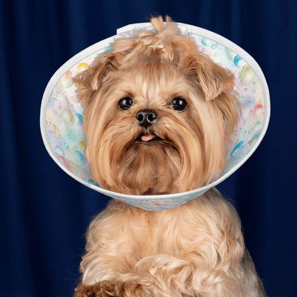 Bubble Design, Pet Elizabethan, Pet Medical Collar