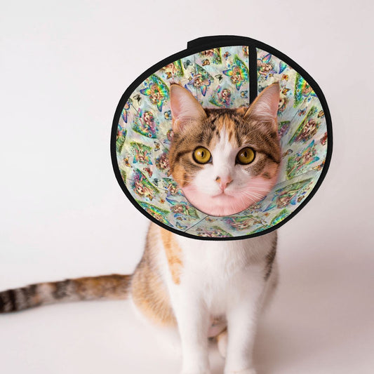 6 Fairy Designs, Pet Elizabethan, Pet Medical Collar