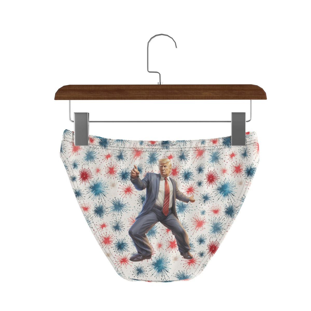 Women’s Poly Briefs Panties Underwear