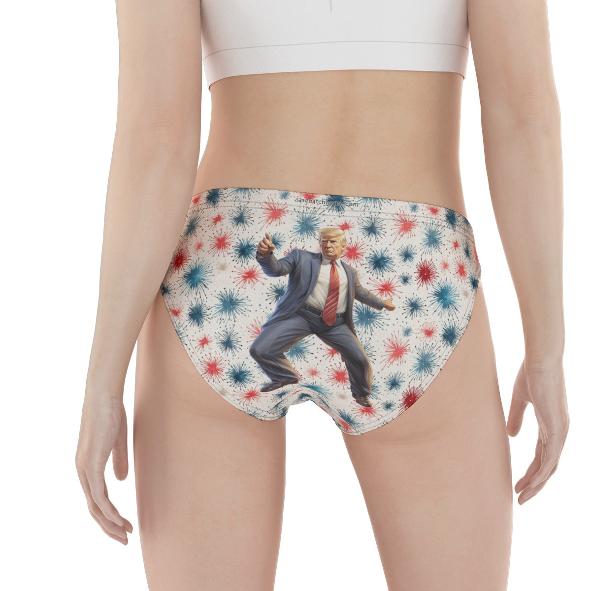 Women’s Poly Briefs Panties Underwear
