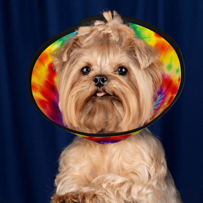 Pet Elizabethan, Pet Medical Collar