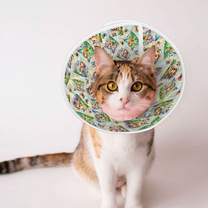 6 Fairy Designs, Pet Elizabethan, Pet Medical Collar