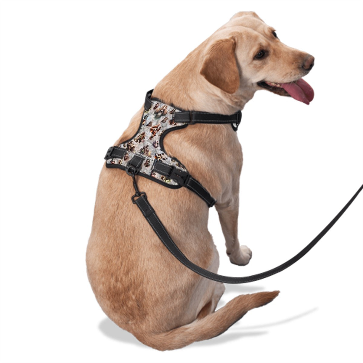 Dog Harness Bigfoot / Sasquatch Designs, collar, front and back latch - PERSONALIZE