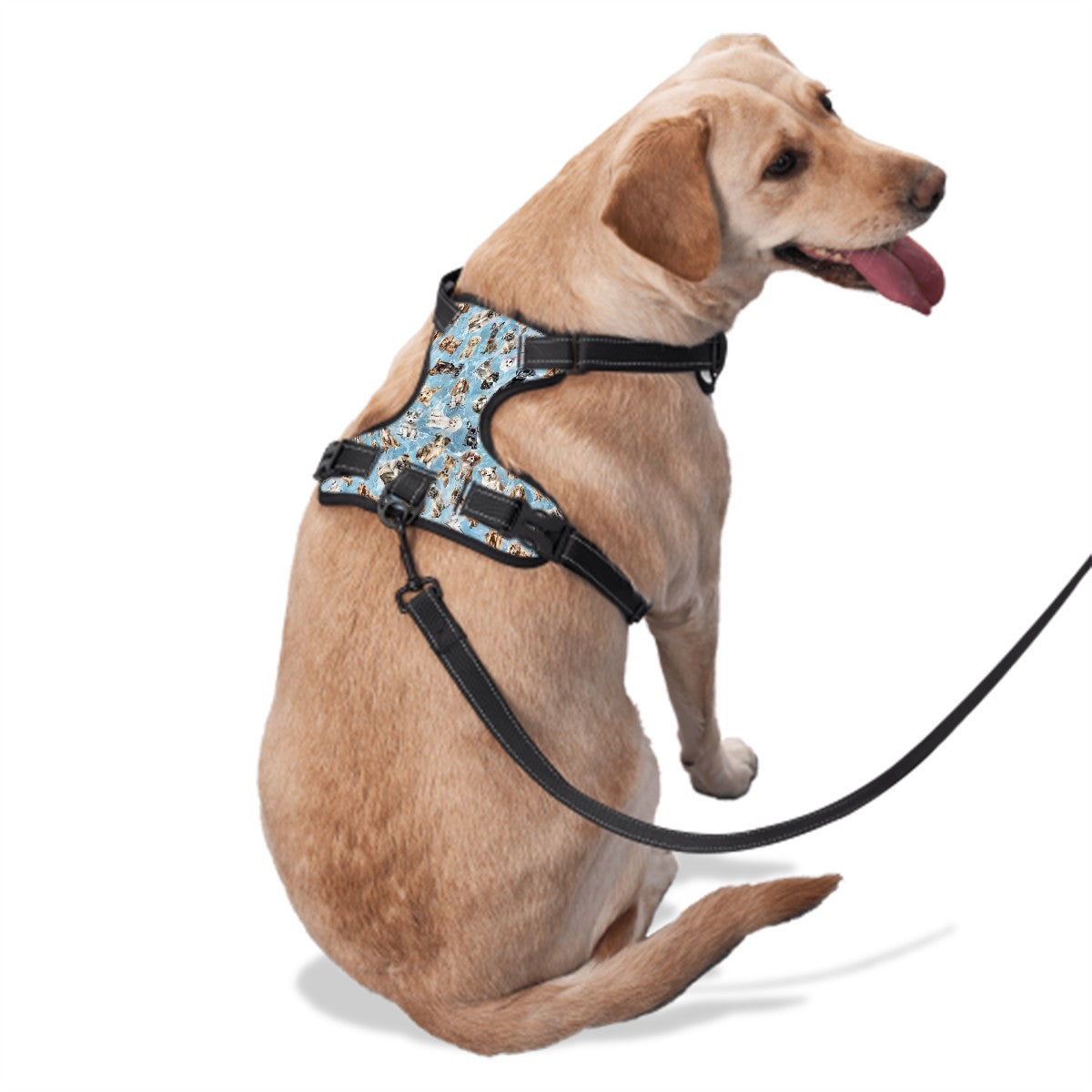 Animal Themed, Oxford Fabric Dog Harness