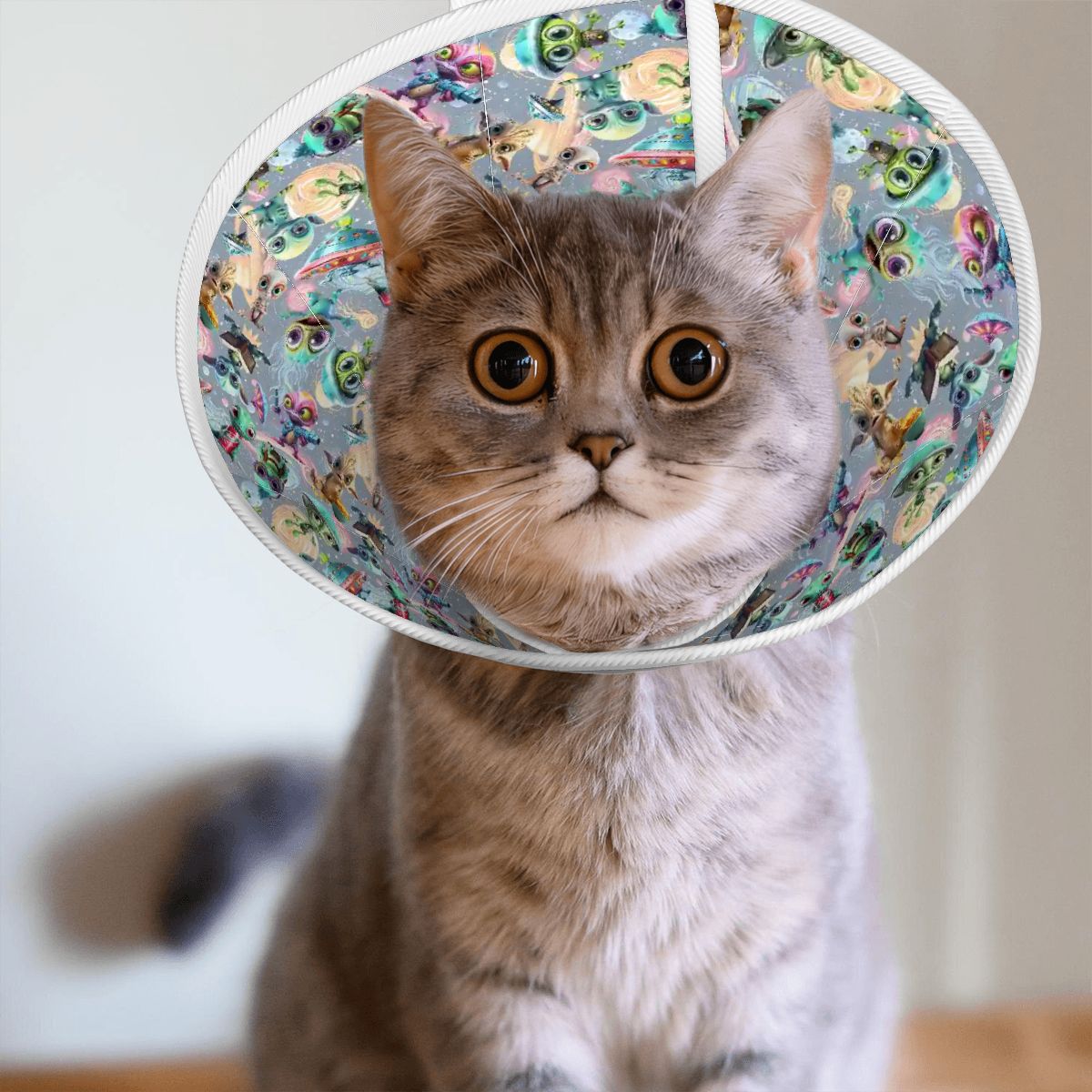 6 Alien Designs, Pet Elizabethan, Pet Medical Collar
