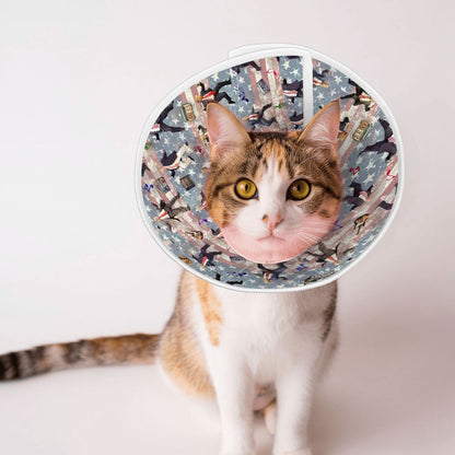 Pet Elizabethan, Pet Medical Collar