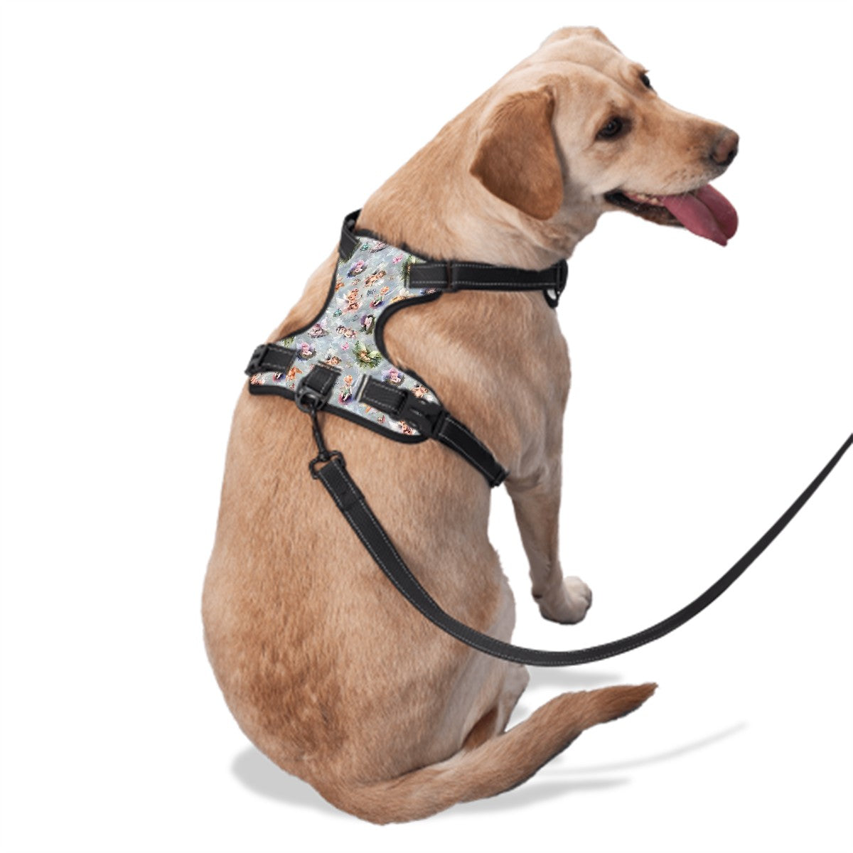 Fairy Themed, Oxford Cloth Pet Harness