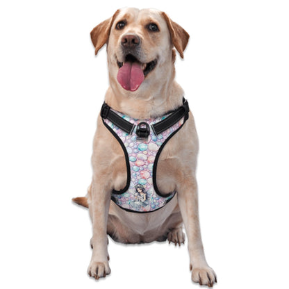 Fairy on Colored Stone, Oxford Fabric Dog Harness