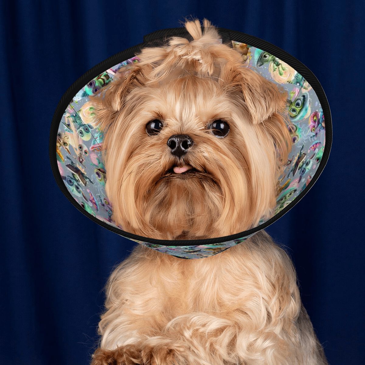 6 Alien Designs, Pet Elizabethan, Pet Medical Collar