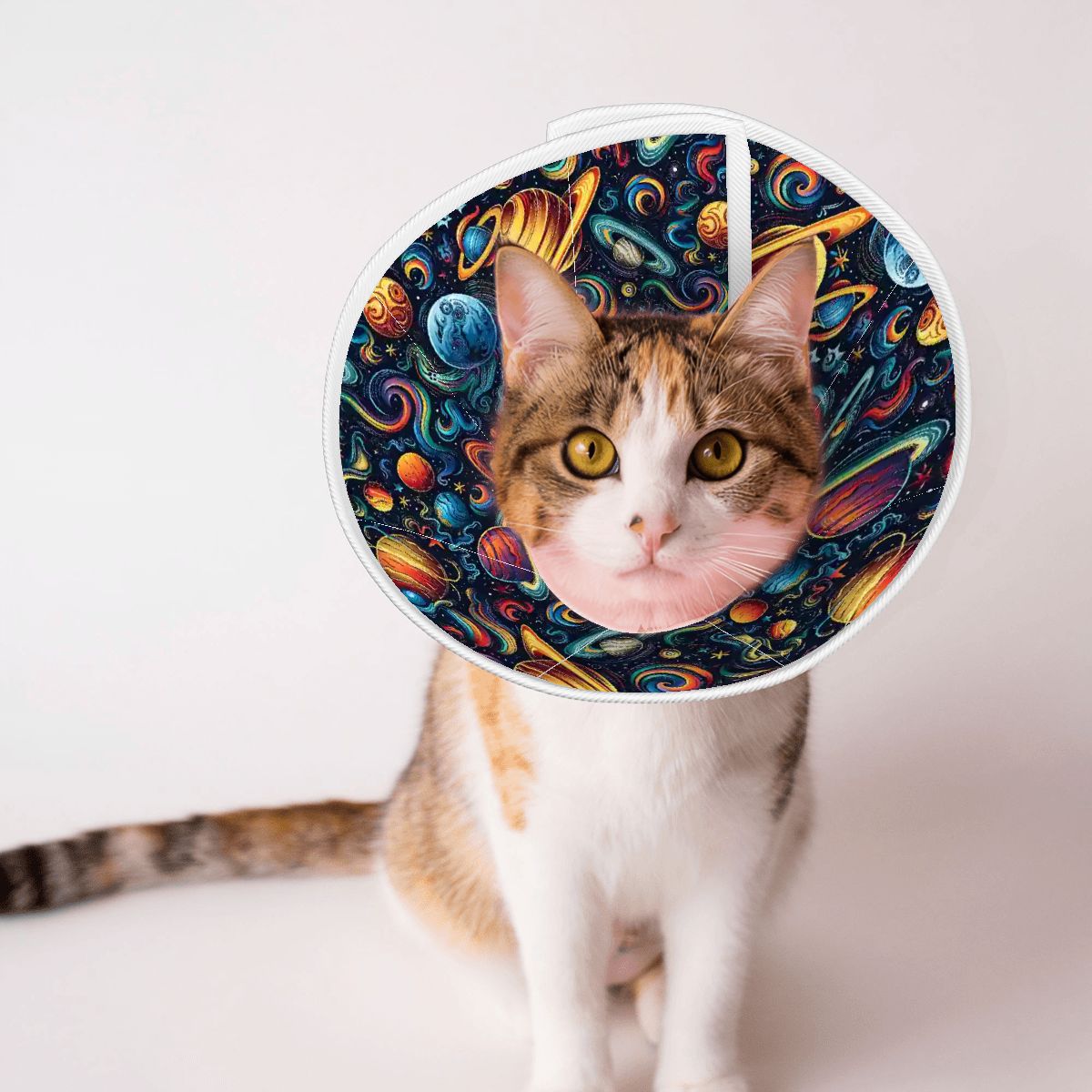 12 Outer Space Designs, Pet Elizabethan, Pet Medical Collar