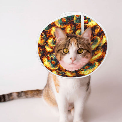 Firey Skulls Pet Elizabethan, Pet Medical Collar