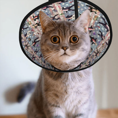Pet Elizabethan, Pet Medical Collar