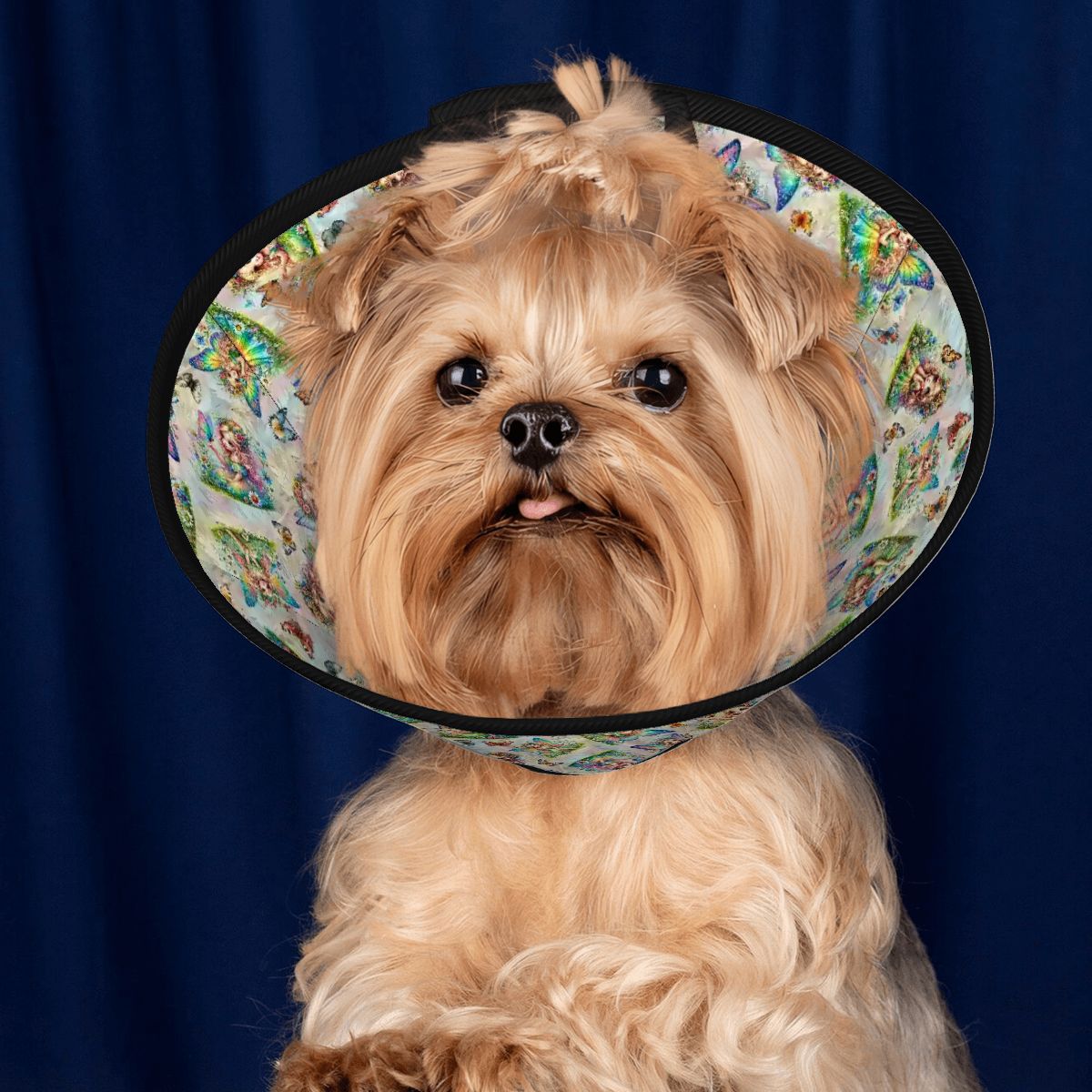 6 Fairy Designs, Pet Elizabethan, Pet Medical Collar