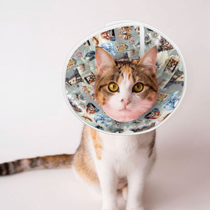 20 Misc Designs, Pet Elizabethan, Pet Medical Collar