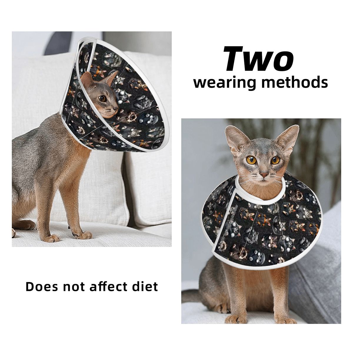 Pet Elizabethan, Pet Medical Collar
