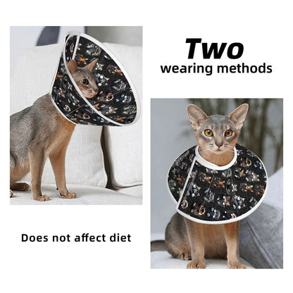 Pet Elizabethan, Pet Medical Collar