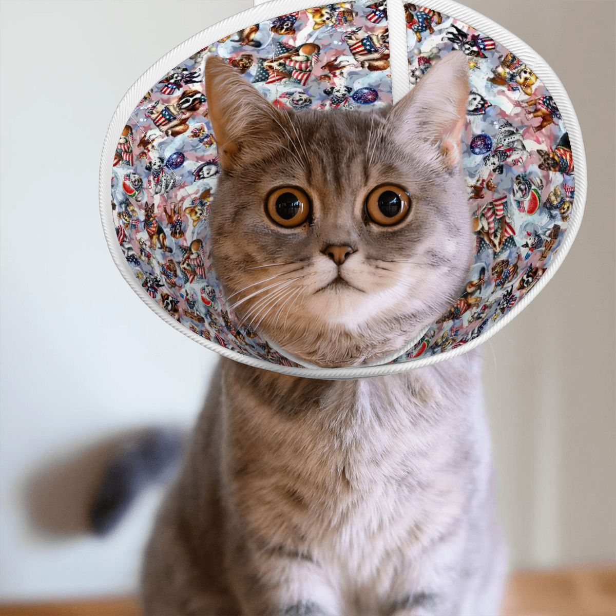 8 Patriot Designs, Pet Elizabethan, Pet Medical Collar