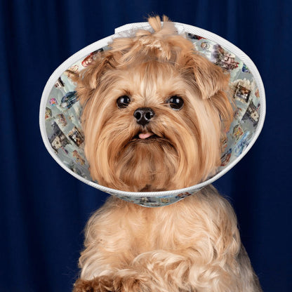 20 Misc Designs, Pet Elizabethan, Pet Medical Collar