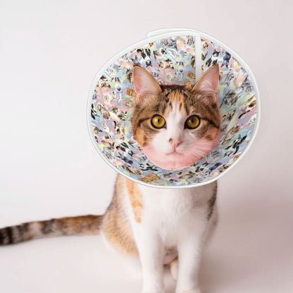 10 Animal Designs, Pet Elizabethan, Pet Medical Collar