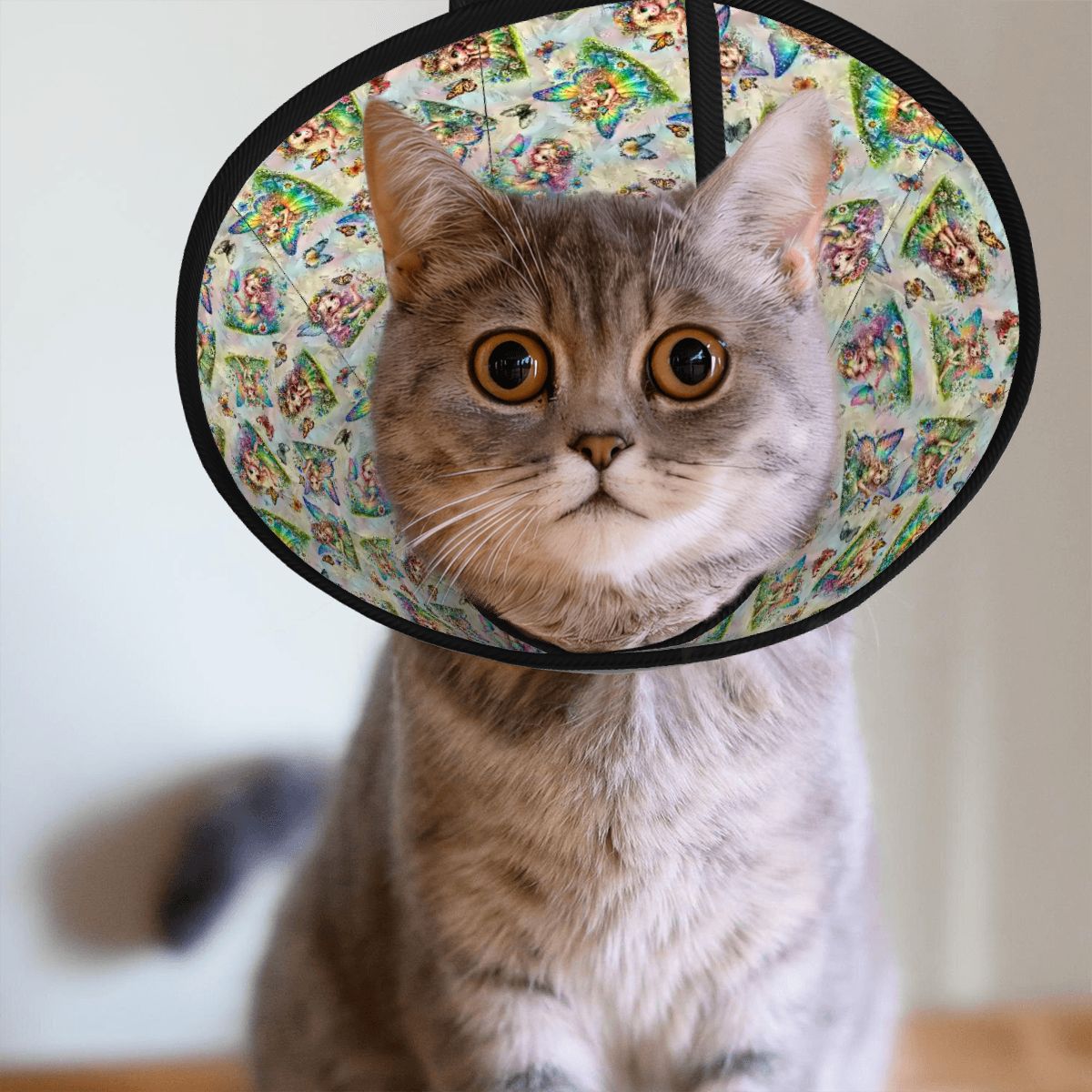 6 Fairy Designs, Pet Elizabethan, Pet Medical Collar