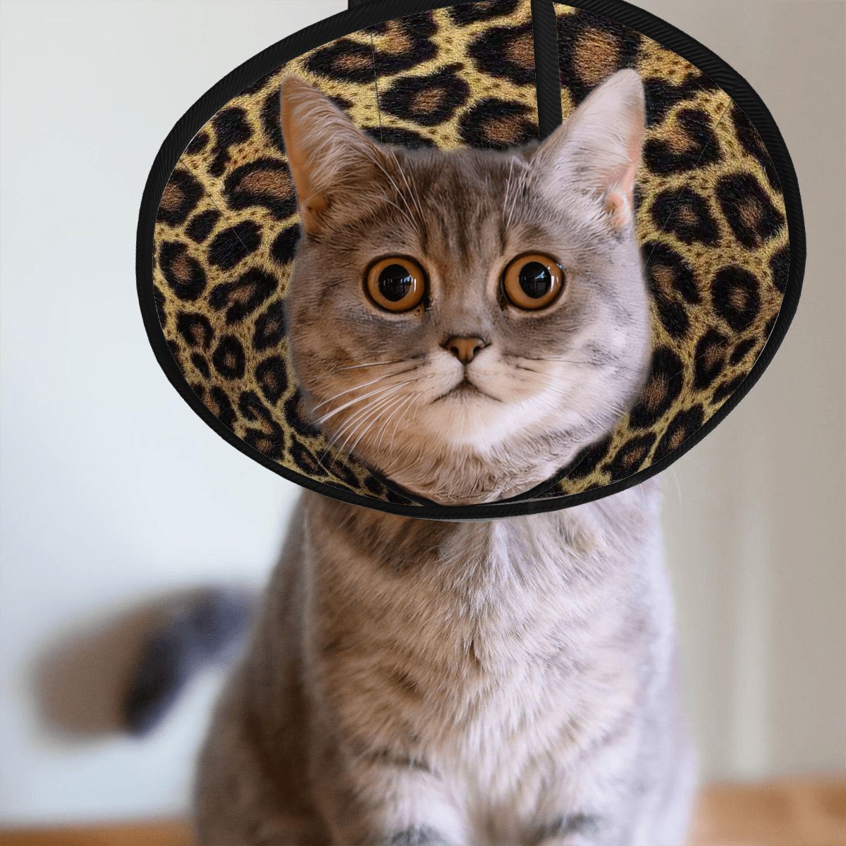 Leopard Design, Pet Elizabethan, Pet Medical Collar
