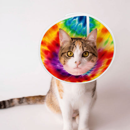 Pet Elizabethan, Pet Medical Collar