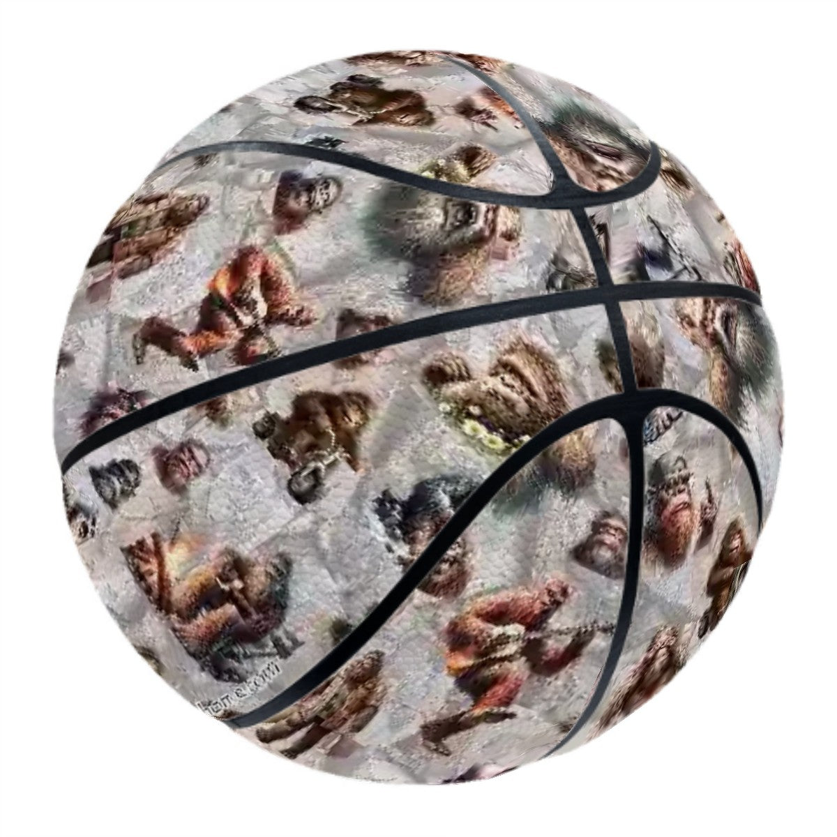20 Bigfoot & Sasquatch Designs, Leather Specialized Basketballs -