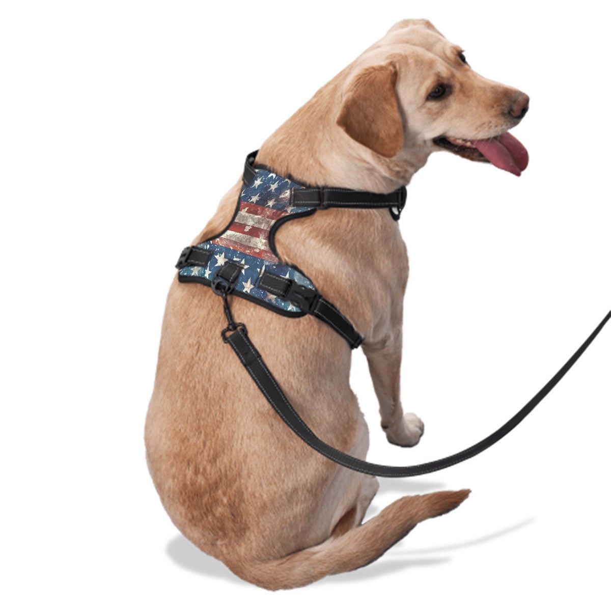 Donald Trump Baby, Oxford Fabric Dog Harness