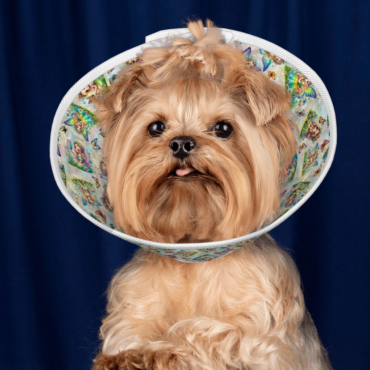 6 Fairy Designs, Pet Elizabethan, Pet Medical Collar