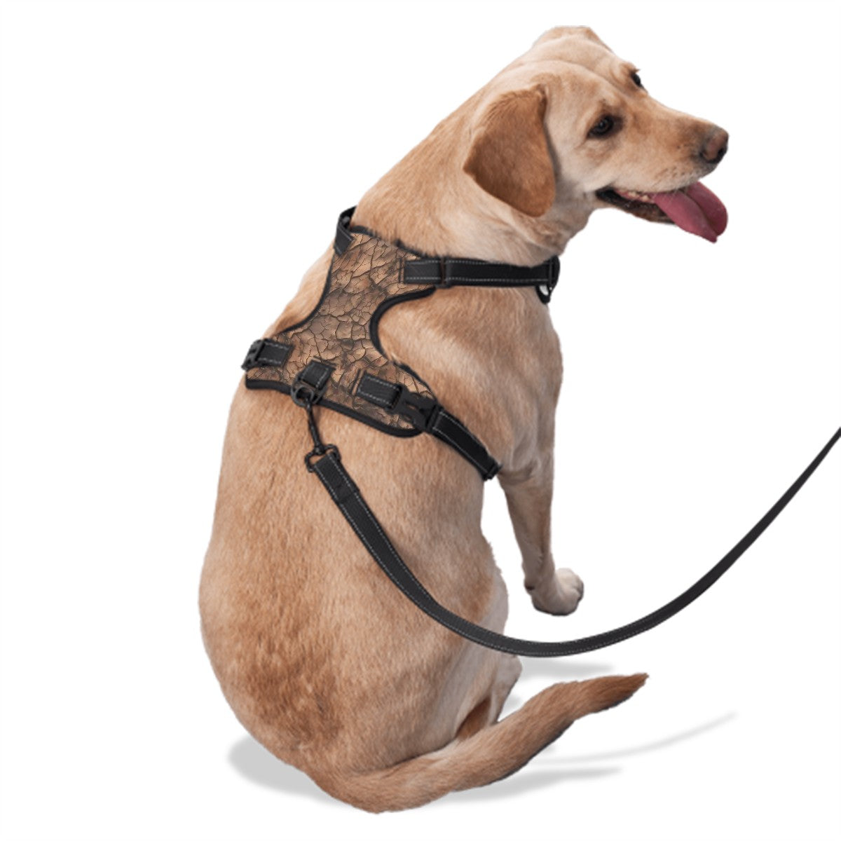 Bigfoot, Sasquatch Blow Kiss, Oxford Fabric Dog Harness
