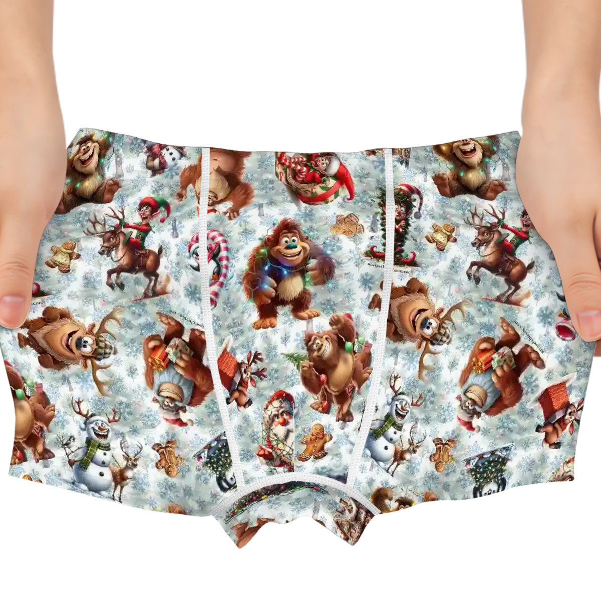 Sasquatch, Bigfoot Themed Boys Teen Boxer Briefs Underwear