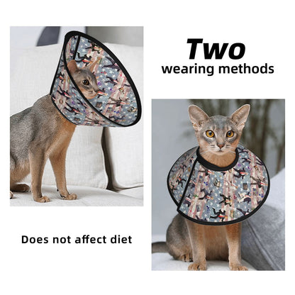 Pet Elizabethan, Pet Medical Collar