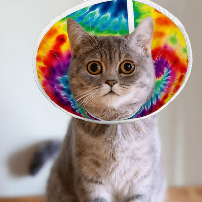 Pet Elizabethan, Pet Medical Collar