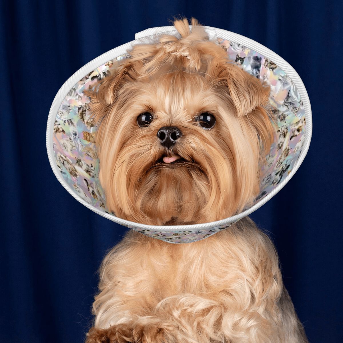 10 Animal Designs, Pet Elizabethan, Pet Medical Collar
