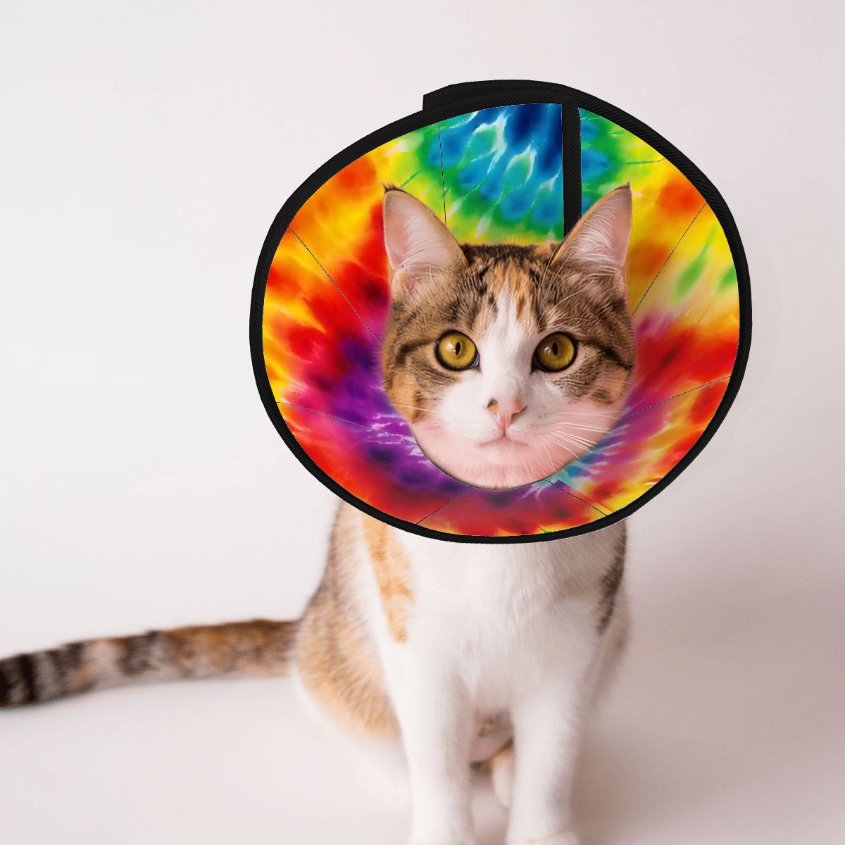 Pet Elizabethan, Pet Medical Collar