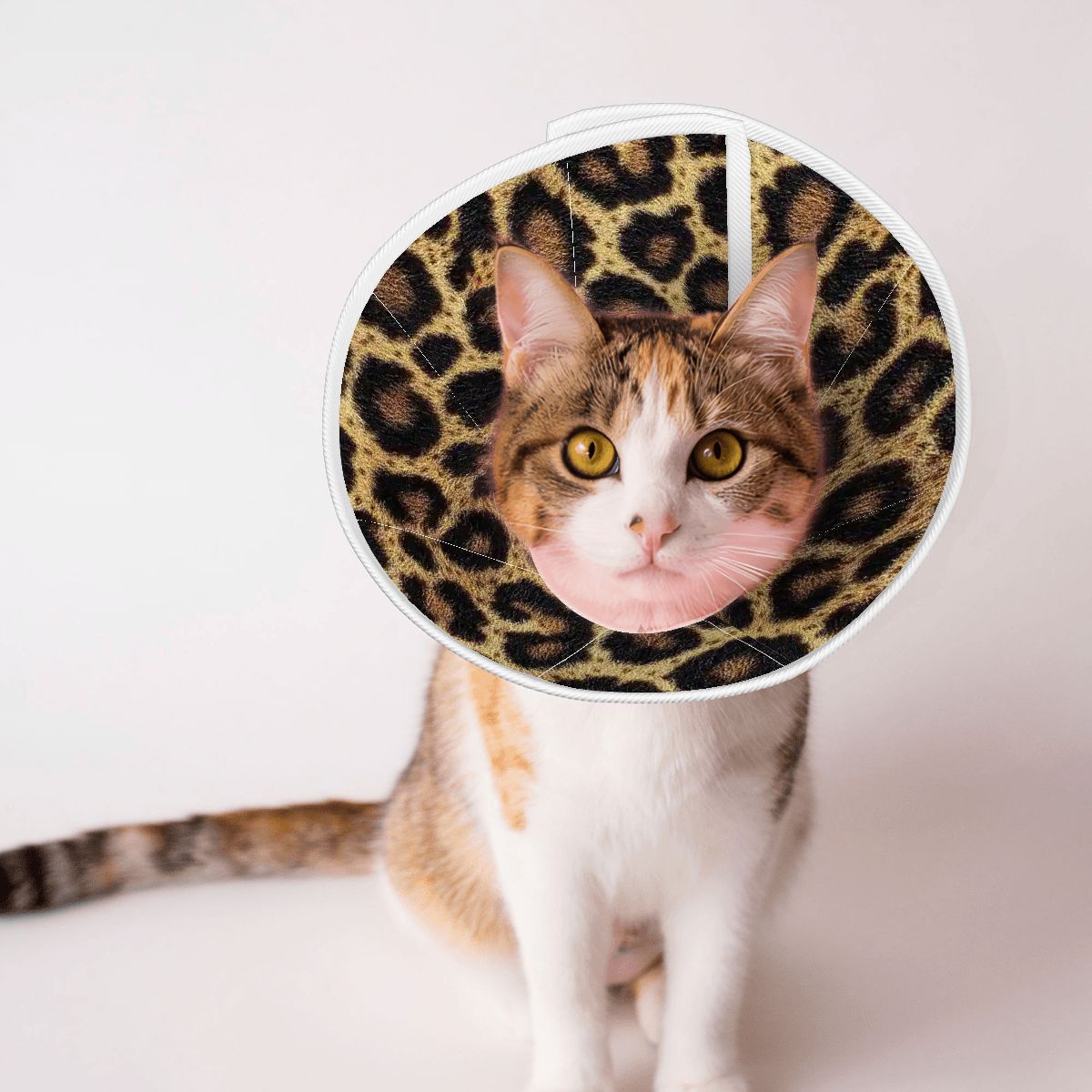 Leopard Design, Pet Elizabethan, Pet Medical Collar