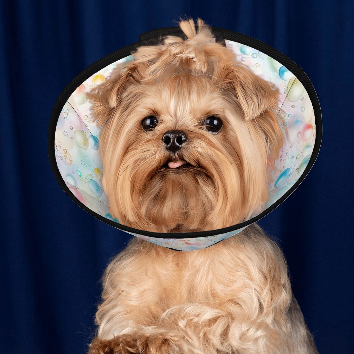 Bubble Design, Pet Elizabethan, Pet Medical Collar