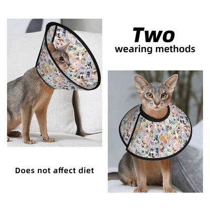 10 Animal Designs, Pet Elizabethan, Pet Medical Collar