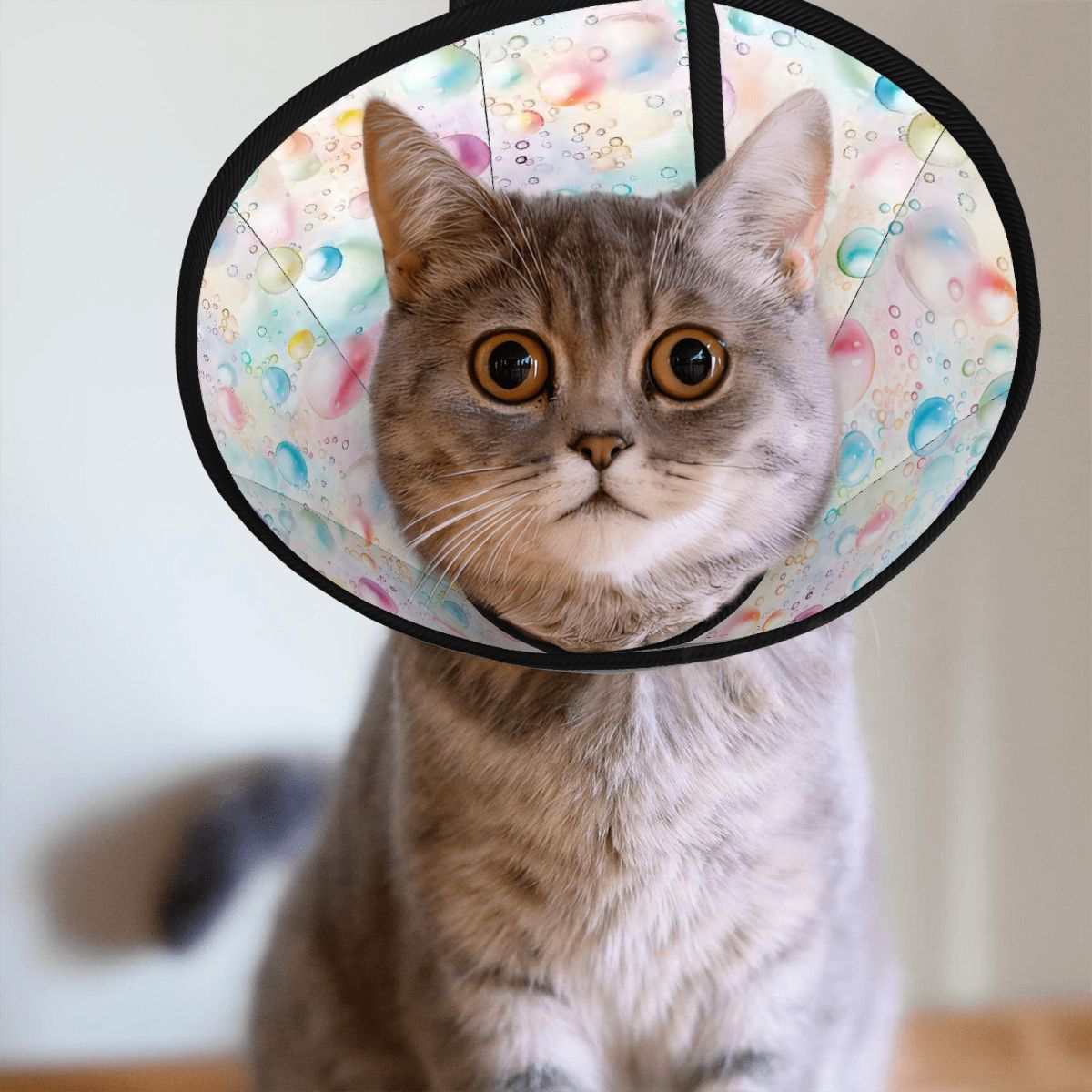 Bubble Design, Pet Elizabethan, Pet Medical Collar