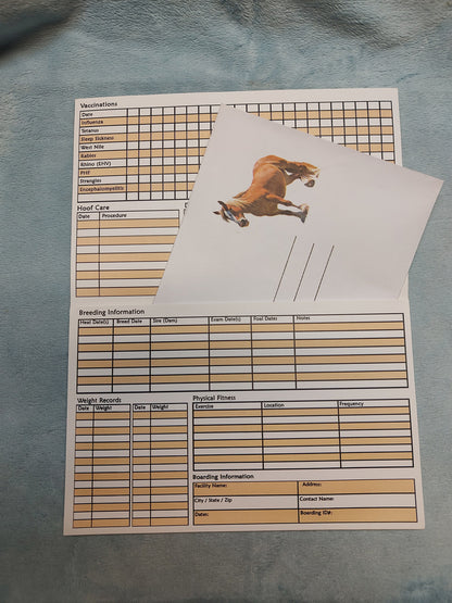 Equestrian Complete Medical Records + EID Sheet & Inside Pocket