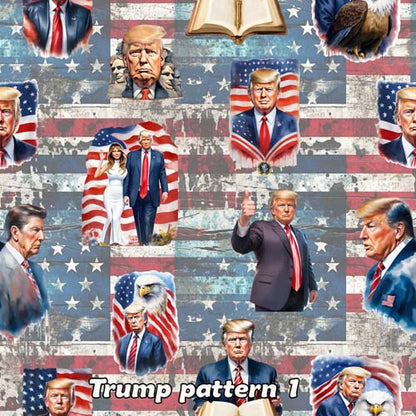 20 Donald Trump Designs, Wall Sconces, Set of 2, Plug In