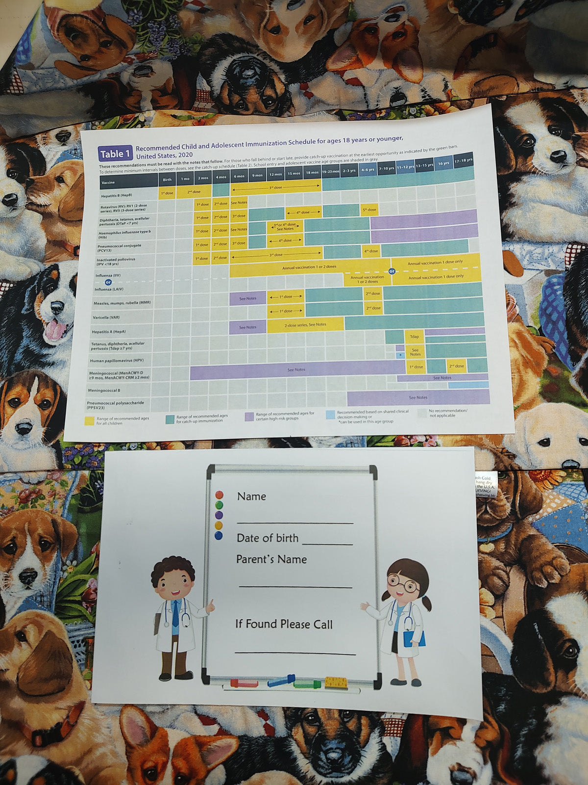 Human Medical Records - From birth to adulthood w/ storage pocket